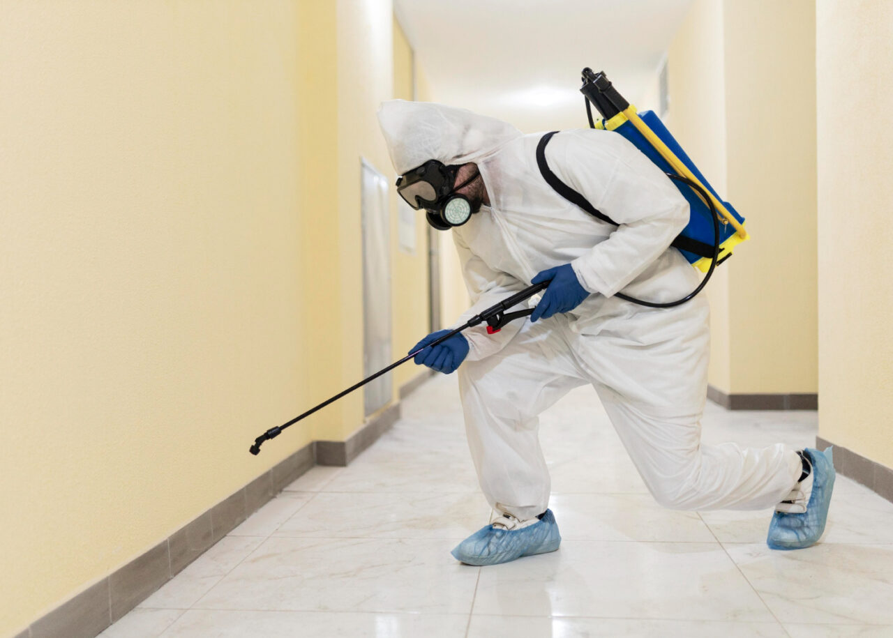 Why You Should Hire a Professional for Mold Remediation